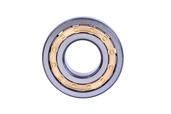 Cylindrical Roller Bearing (10)