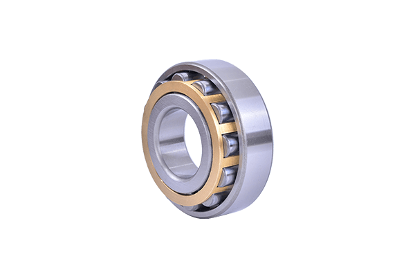 Cylindrical Roller Bearing (12)