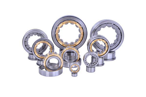 Cylindrical Roller Bearing (19)