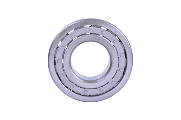 Cylindrical Roller Bearing (6)